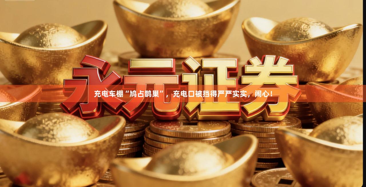充电车棚“鸠占鹊巢”，充电口被挡得严严实实，闹心！