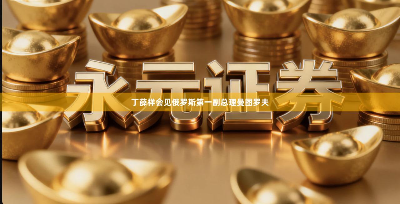 丁薛祥会见俄罗斯第一副总理曼图罗夫